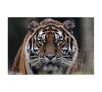 Jigsaw Puzzles for Adults 1500, Tiger Jigsaws 1500 Pieces for Adults, Impossible Jigsaws Puzzle Challenging Game for The Whole, Wooden Jigsaw Puzzles for Gifts for Women Men, Decor Theme:Animal -1936