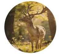 Jigsaw Puzzles for Adults 195 Pieces Light Shining in The Forest Round Wooden Puzzle, Challenging Decorative Puzzles