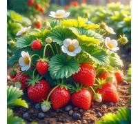 Jigsaw Puzzles for Adults 200 Piece jigsaw puzzles for Adult Educational Game Challenge Toy 200 Pieces Puzzle Challenging Games for The Whole for adults,Strawberry Plants puzzle Gifts