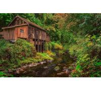 Jigsaw Puzzles for Adults 200 Piece Jigsaw Puzzles for Adults Beautiful Scenery Challenging Game Birthday Gift,Forest, Washington, Woodland, Cedar Creek Grist Mill,87x57cm 35x25CM