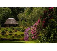 Jigsaw Puzzles for Adults 200 Piece Jigsaws 200 Pieces for Adults Gifts, Pond, Park, Germany, Gazebo, Lower Saxony, Rhododendrons, Castle Park 35x25CM