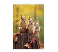Jigsaw Puzzles for Adults 200 Piece Squirrel Large Puzzle Autumn, Difficult Challenging Family Games for The Whole for Women, Wooden Jigsaws with Gift Box Packaging, Gifts for Women 35x25cm D-1304