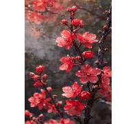 Jigsaw Puzzles for Adults 200, Puzzles for Adults Plum Blossom, Challenging Difficult Logic Puzzle, Puzzle 200 Pieces for Adult 13.8 x 9.8 inch