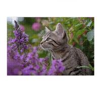 Jigsaw Puzzles for Adults 2000, 2000 Piece Jigsaw Puzzles for Adults, Wooden Puzzle Game for The Whole for Men, Cat Puzzle for Christmas Decorations, Gifts for Women, Theme: Flower Pattern, F-80