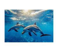 Jigsaw Puzzles for Adults 2000, Animales Jigsaws 2000 Pieces for Adults, Impossible Wooden Dolphin Jigsaw Puzzle for The Whole, Classic Challenging Puzzle Game for Decompression, Gifts Decor -2007