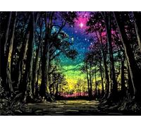 Jigsaw Puzzles for Adults 2000 Aurora Forest Puzzle High Definition Wooden Puzzle with Gifts Box Relaxing Home Activity & Wall Decor Large Educational Puzzles Challenging Games for Adults s7h-213