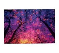 Jigsaw Puzzles for Adults 2000 Forest Jigsaws 2000 Pieces for Adults, Tree Puzzles Challenging Educational Game, Impossible Wooden Puzzle for Home Decor, Unique Gifts for Women, Gifts for Men, -1846