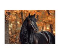 Jigsaw Puzzles for Adults 2000, Horse Jigsaws 2000 Pieces for Adults, Impossible Jigsaws Puzzle Challenging Game for The Whole, Wooden Jigsaw Puzzles for Gifts for Women Men, Decor Theme:Autumn -2002