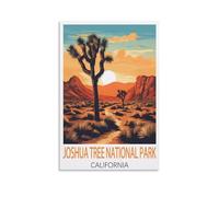 Jigsaw Puzzles for Adults 2000，Joshua Tree National Park California Puzzles for Adults, Challenging Puzzles, Puzzle Game for The Whole for Women,Gifts for Men, 100x70cm