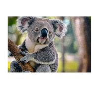 Jigsaw Puzzles for Adults 2000 Koala Jigsaws 2000 Pieces for Adults Wooden Animal Puzzle Games, Classic Educational Challenging Game for The Whole Families Decompression, Rome Decor Gifts 99x70cm I-93
