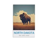Jigsaw Puzzles for Adults 2000 North Dakota Sioux State, 2000 Piece Puzzle Challenging Game for The Whole for Women,Gifts for Men 70x100cm