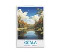 Jigsaw Puzzles for Adults 2000 Ocala National Forests，2000 Piece Jigsaw Puzzle For Adults - Challenging Puzzle Perfect for Game Nights 100x70cm