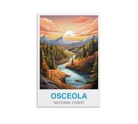 Jigsaw Puzzles for Adults 2000，Osceola National Forests JigsawPuzzle 2000 Pieces for Adults Challenging Puzzle Games 100x70cm