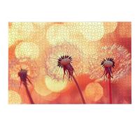 Jigsaw Puzzles for Adults 2000 Piece, 2000 Piece Landscape Jigsaw Puzzles for Adults, Challenging Weed Jigsaws for the Whole Family, Wooden Puzzle for Home Decor, Gifts for Women, Gifts for Men, -7704