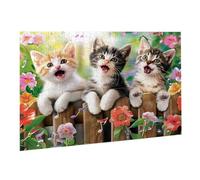 Jigsaw Puzzles for Adults 2000 Piece Animal Jigsaw Puzzle - Colourful, Challenging Game & Brainteasing Adult Jigsaws, The Whole 3D Jigsaw Gifts for Women, Men Beautiful Decoration Cat 6 K0F-316