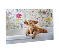 Jigsaw Puzzles for Adults 2000 Piece Highland Cattle Jigsaw Puzzle Colourful, Challenging Game Brainteasing Adult Jigsaws, The Whole 3D Jigsaw Gifts for Women, Men Beautiful Decoration Animal 1 K0F282