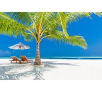 Jigsaw Puzzles For Adults 2000 Piece Vacation Holiday in Paradise Lounge Chair Under Palm Tree on Beach Photo Family Funny Challenging Holiday Puzzles Gift 70x100CM