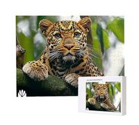 Jigsaw Puzzles for Adults 2000, Puzzle for Adults, Challenging Puzzle Educational Games, Puzzles Game for The Whole for Women, Gifts for Men, Home Decoration, Theme:（Animal Cheetah) z-155