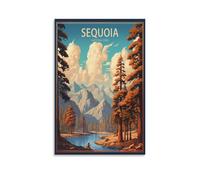 Jigsaw Puzzles for Adults 2000 Sequoia National Parks JigsawPuzzle 2000 Pieces for Adults Challenging Puzzle Games 70x100cm