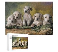 Jigsaw Puzzles for Adults 300 PCS Adorable Yellow Labrador Puppies Jigsaws for Adults Fun Games Perfect Decoration Challenging To Complete 300 PCS