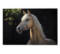 Jigsaw Puzzles for Adults 3000, 3000 Piece Jigsaw Puzzles for Adults, Challenging Wooden Jigsaws Puzzle for The Whole for Women, Puzzle for Home Wall Decor, Gifts for Women/Men, Theme: Horse, H-92