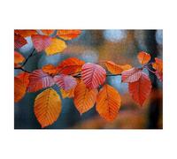 Jigsaw Puzzles for Adults 3000 Autumn Jigsaws 3000 Pieces for Adults Wooden Leaf Puzzle Games, Classic Educational Challenging Game for The Whole Families Decompression, Rome Decor Gifts 122x81cm E-97