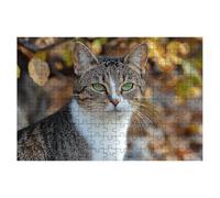 Jigsaw Puzzles for Adults 3000, Cat Jigsaws 3000 Pieces for Adults, Impossible Jigsaws Puzzle Challenging Game for The Whole, Wooden Jigsaw Puzzles for Gifts for Women Gifts for Men Theme:Autumn -1634