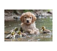 Jigsaw Puzzles for Adults 3000, Dog Jigsaws 3000 Pieces for Adults, Impossible Jigsaws Puzzle Challenging Game for The Whole, Wooden Jigsaw Puzzles for Gifts for Women, Gifts for Men Theme:Duck -2488