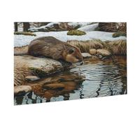 Jigsaw Puzzles for Adults 3000 Piece Beaver Jigsaw Puzzle - Colourful, Challenging Game & Brainteasing Adult Jigsaws, The Whole 3D Jigsaw Gifts for Women, Men Beautiful Decoration Send Five K0F-199