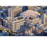 Jigsaw Puzzles for Adults 3000 Piece Jigsaw Puzzles for Adults Japan Creative Puzzle for Family Educational Games Home Decoration Gifts for Women DIY Puzzle Home Decor Theme: Architecture RXPT-7028