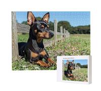 Jigsaw Puzzles for Adults 3000, Puzzle for Adults, Challenging Puzzle Educational Games, Puzzles Game for The Whole for Women, Gifts for Men, Home Decoration, Theme:（Grass Dog) z-80