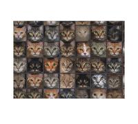 Jigsaw Puzzles for Adults 38x26cm/1000pcs Cat Faces Gallery Jigsaw Relaxing Games Analysis And Logic Unique Birthday And Xmas Gifts 38x26cm/1000pcs