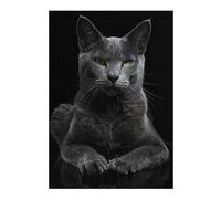 Jigsaw Puzzles for Adults 38x26cm/1000pcs Korat Jigsaws for Adults Relaxing Games Improve Memory for Birthday, Chrismas 38x26cm/1000pcs