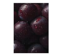 Jigsaw Puzzles for Adults 38x26cm/1000pcs Plums Adult Puzzles Brain Teaser Game Hand Speed Race Unique Birthday And Gifts 38x26cm/1000pcs
