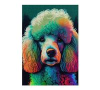 Jigsaw Puzzles for Adults 38x26cm/1000pcs Rainbow Poodle Portrait Jigsaws for Adults Relaxing Games Difficult Challenge Christmas Birthday Gifts 38x26cm/1000pcs