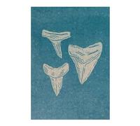 Jigsaw Puzzles for Adults 38x26cm/1000pcs Shark Teeth Illustration on Blue Background Jigsaw Puzzle Toy Wall Decor Difficult Challenge Deal As Gifts for The Whole Family 38x26cm/1000pcs