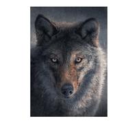 Jigsaw Puzzles for Adults 38x26cm/1000pcs Wolf's Gaze Wild Eyes -1 Jigsaw Puzzle Hands-on Game Difficult Challenge Gifts for Friends And Family 38x26cm/1000pcs