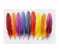 Jigsaw Puzzles for Adults 4000 Piece, 4000 Piece Feather Jigsaw Puzzles for Adults, Challenging Colorful Jigsaws for the Whole Family, Wooden Puzzle for Home Decor, Gifts for Women and Men, -7366