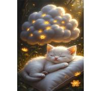 Jigsaw Puzzles for Adults 500 Challenging Puzzle Games Impossible Puzzle Cloud Cat Puzzles 500 Pieces