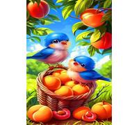 Jigsaw Puzzles for Adults 500 Challenging Puzzle Games Impossible Puzzle Fruit Birds Puzzles 500 Pieces