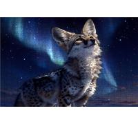 Jigsaw Puzzles for Adults 500 Fox 500 Piece Jigsaw Puzzles for Adults, Challenging Puzzle Educational Game for The Whole for Women Gifts for Men Wall Art Room Decor Starry Sky 20x16 inch RXPT-6895