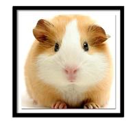 Jigsaw Puzzles for Adults 500 Piece,45x45 cm puzzle for adults Educational Game Challenge Toy 500 Pieces puzzles for Adult Home Decoration Puzzle Guinea Pig Animals