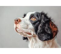 Jigsaw Puzzles for Adults 500 Piece dog Challenge Impossible Premium Sustainable Jigsaws, Exercise the Memory of the Brain Encourage Feelings Between Each Whole for Women and Men Gift 52x38cm A-5