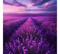 Jigsaw Puzzles For Adults 500 piece,Lavender Fields Scenery jigsaw puzzle 45x45 cm Challenging puzzles,DIY Puzzle for Home Decoration Family Perfect Game