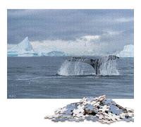 Jigsaw Puzzles for Adults 500 Piece Solo Dance Jigsaw Puzzles for Adults Woodenboard Puzzles Family Entertainment Toys 500pcs (52x38cm)