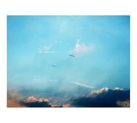 Jigsaw Puzzles for Adults 500 Pieces -Birds,silhouettes,flight 52x38cm