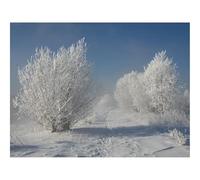 Jigsaw Puzzles for Adults 500 Pieces -Bushes,hoarfrost,snow 52x38cm