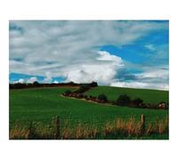 Jigsaw Puzzles for Adults 500 Pieces -Field,summer,grass 52x38cm