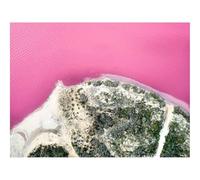 Jigsaw Puzzles for Adults 500 Pieces -Island,Coast,Sea,Pink,Aerial View 52x38cm