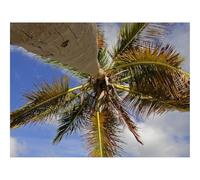 Jigsaw Puzzles for Adults 500 Pieces -Palm Tree,Branches,Sea,Tropics 52x38cm